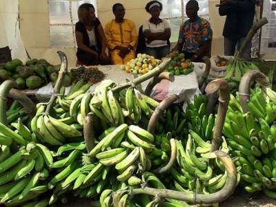 solutions-a-la-crise-alimentaire_La-Voix-Du-Paysan