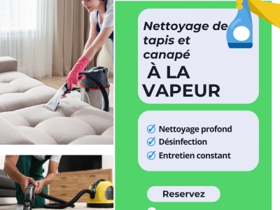 Service de nettoyage à la vapeur ( meuble et tapis)