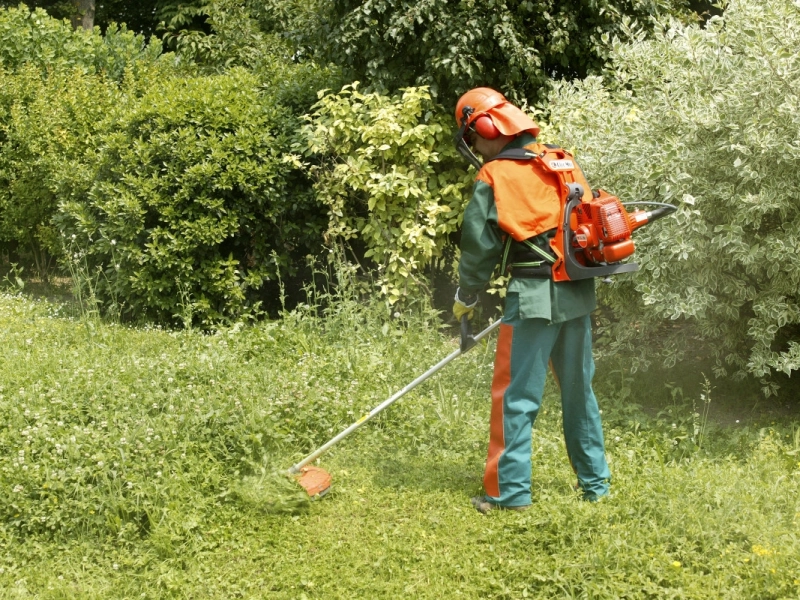 Service de jardinage et d'entretien des espaces verts