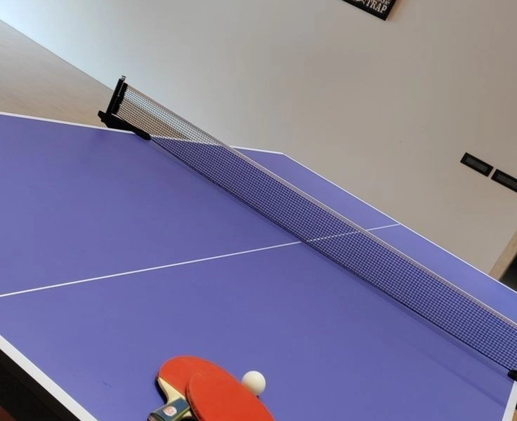 Location de table de ping pong