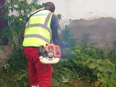 Service de Jardinage et Entretien des Espaces Verts – Ville de Douala