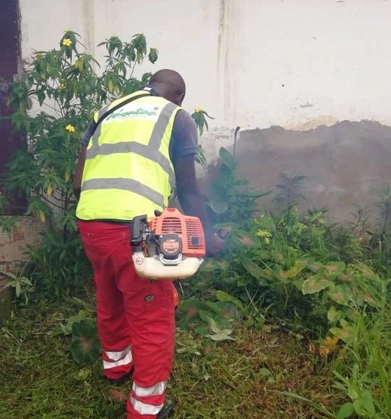 Service de Jardinage et Entretien des Espaces Verts – Ville de Douala