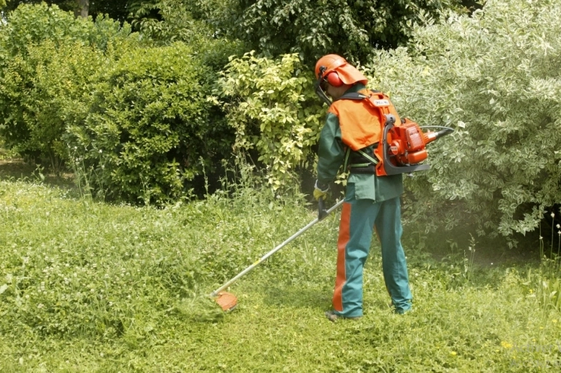 Service de Jardinage et Entretien des Espaces Verts – Ville de Douala